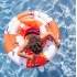Swim Essentials - Baby float - Walvis - 0-1 jaar